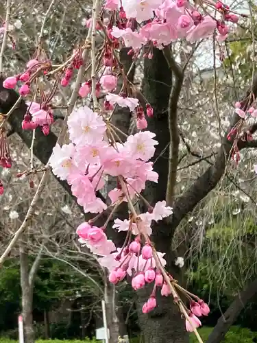 靖國神社(東京都)