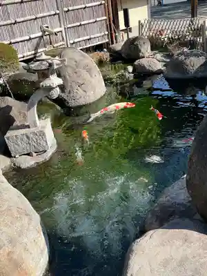 天然寺(埼玉県)