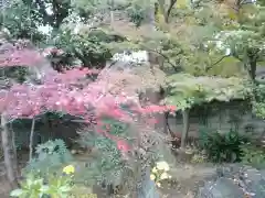 法華寺の自然