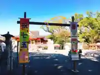 富知六所浅間神社の七五三参