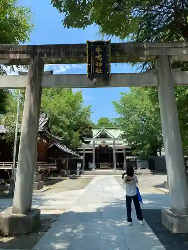 牛嶋神社の鳥居
