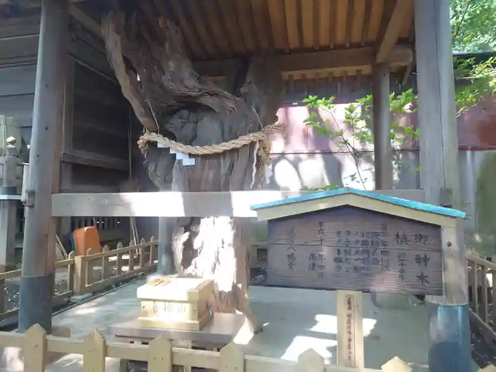 鶴嶺八幡宮(神奈川県)