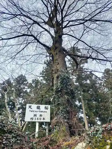 石都々古和気神社の自然