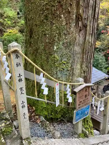 由岐神社(京都府)
