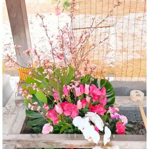 彌彦神社 (伊夜日子神社)の手水舎