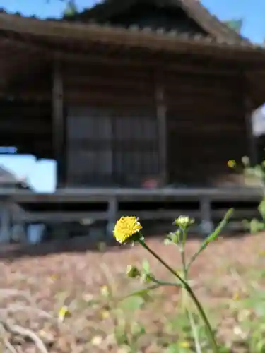 網戸神社の自然