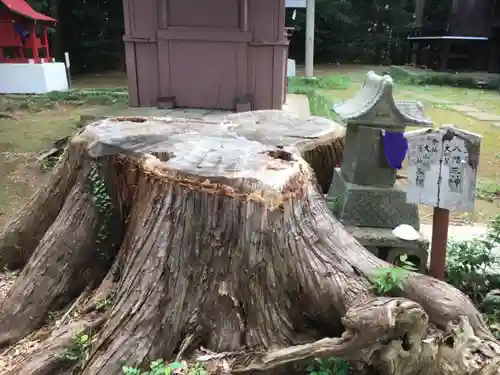 水戸愛宕神社の自然