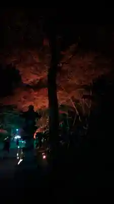 賀茂御祖神社（下鴨神社）(京都府)