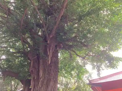 冠稲荷神社(群馬県)