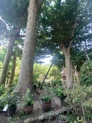 瀬戸神社(神奈川県)