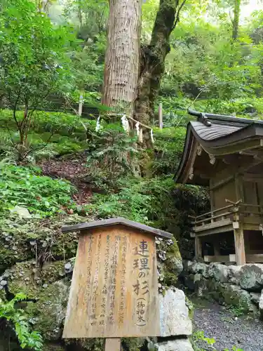 貴船神社奥宮の自然
