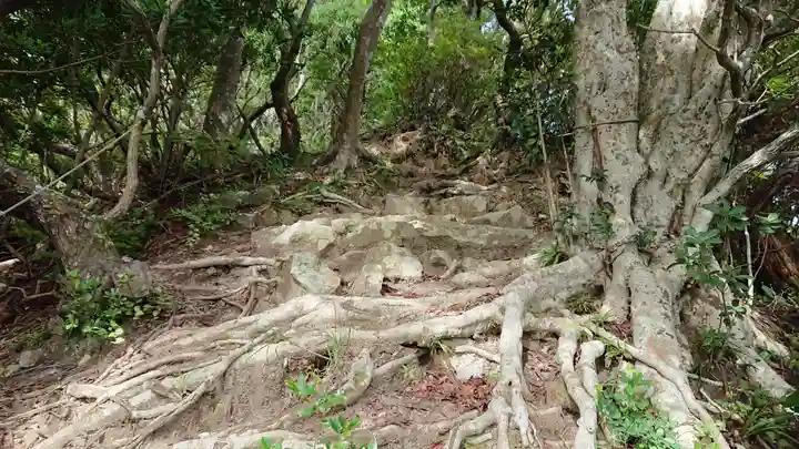 雲見浅間神社の自然