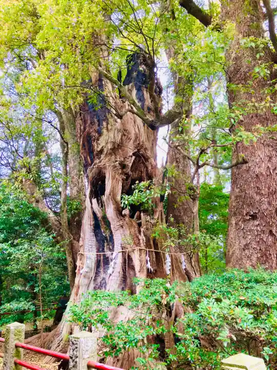 神崎神社(千葉県)