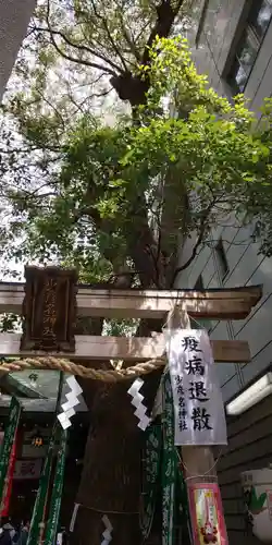 少彦名神社の鳥居