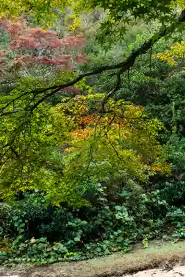 御山神社(厳島神社奧宮)(広島県)