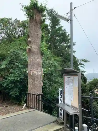植田八幡神社のその他建物