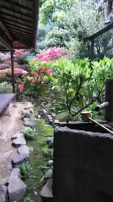 大雄院の手水舎