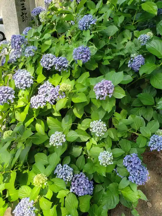 鹿嶋神社の自然