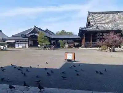 大通寺（長浜御坊）(滋賀県)