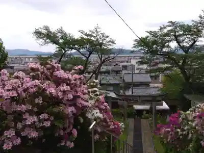八幡神社(福井県)