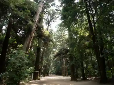 鹿島神宮(茨城県)