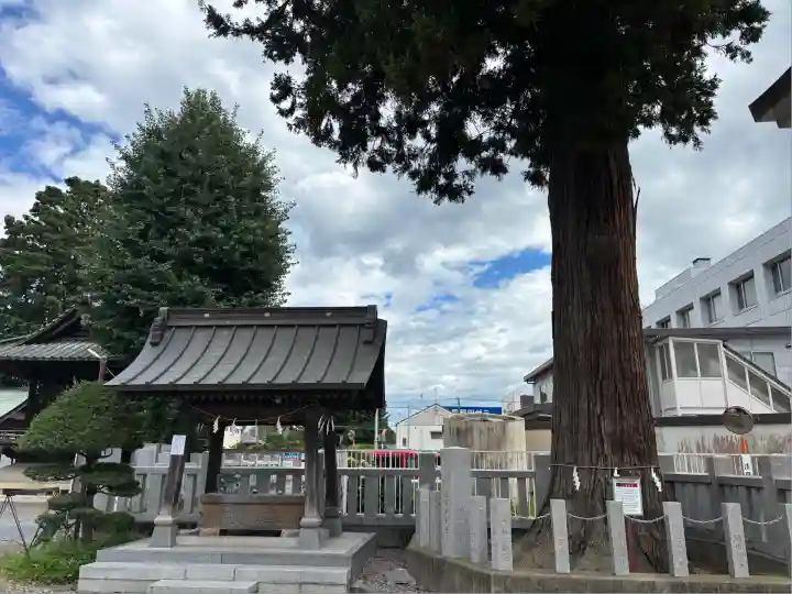 鹿沼今宮神社(栃木県)