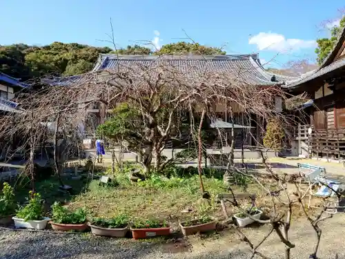 雪蹊寺の本殿・本堂