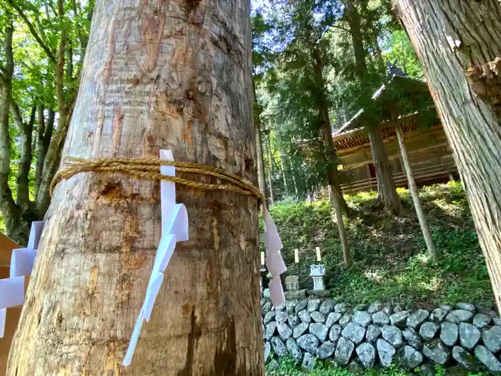 子檀嶺神社の自然