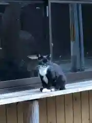 道祖神社の動物