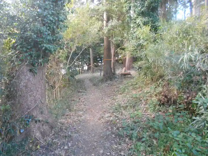 御霊神社(葉山・長柄)の自然