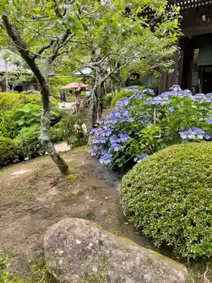 海蔵寺(神奈川県)