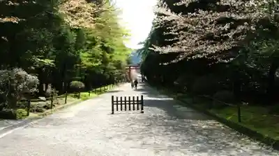 霧島神宮(鹿児島県)