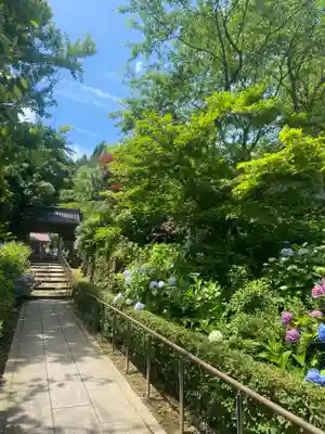 本興寺(石川県)