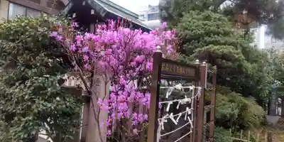 芝大神宮(東京都)