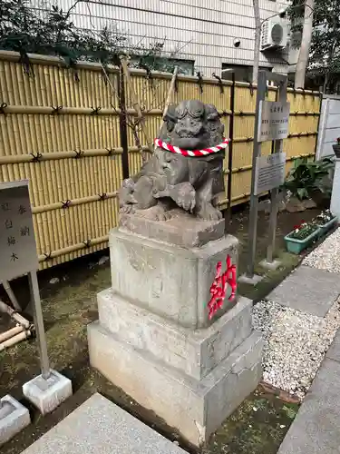 高円寺氷川神社の狛犬