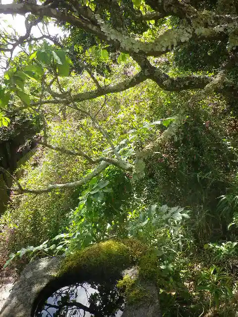 英勝寺の手水舎