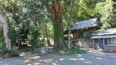 片菅神社の自然
