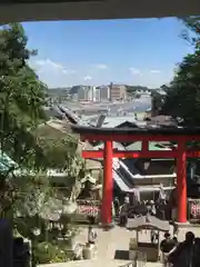 江島神社の鳥居