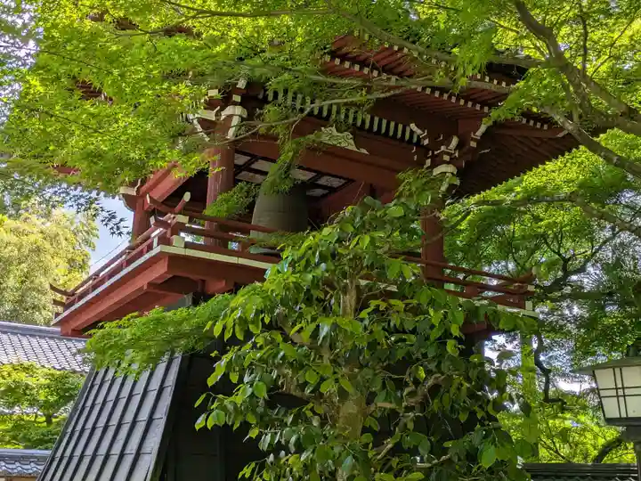 清泰寺(岐阜県)