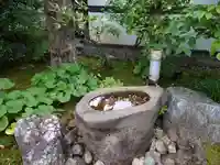 圓徳院の手水舎