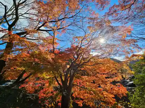 室生寺(奈良県)