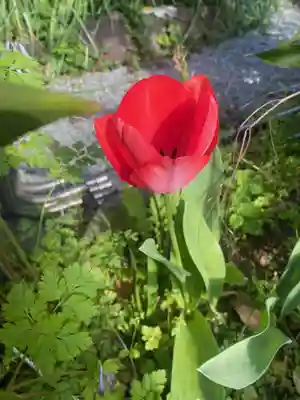 彦嶽宮(熊本県)