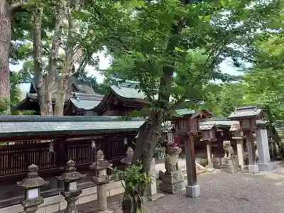 櫻井神社のその他建物