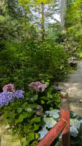 岡寺（龍蓋寺）(奈良県)