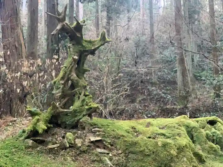 御岩神社の自然