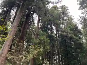 大宮温泉神社(栃木県)(2023年10月02日(月) 07時20分33秒投稿)