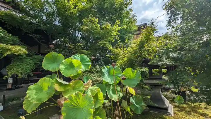 勝林寺(京都府)