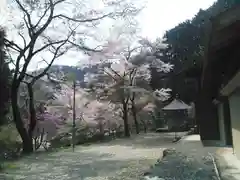 高源寺の自然