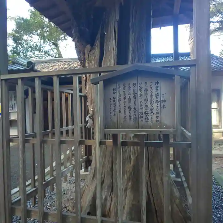 泉神社の歴史