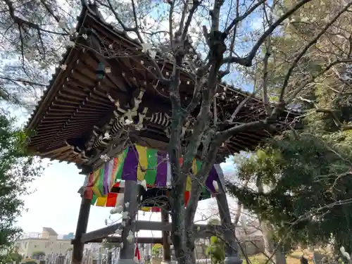 教学院(東京都)